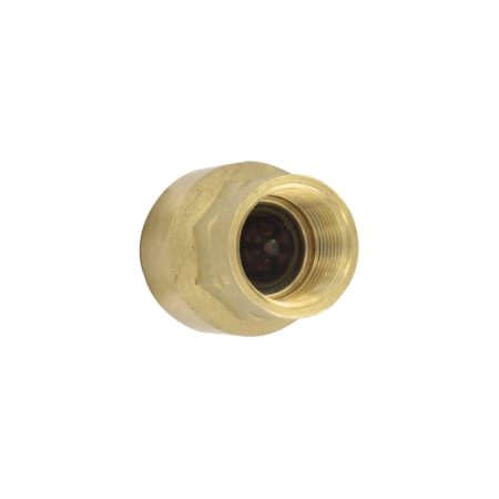Dwyer Instruments Brass inline check valve, 3/4" connection, 11.0 Cv value, weight 7.8 oz (222 g). BICV-0F03